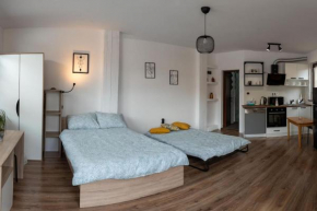 Studio Panagyurishte